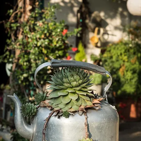 Vakantieboerderij Beatilla Marmirolo